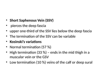 Comprehensive Applied Anatomy and Pathophysiology of Varicose Veins | PPTX