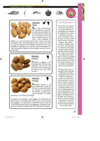 Variedades agrícolas tradicionales de Tenerife y La Palma
Variedades de cultivos: FRUTALES
98
CURIOSIDADES
En La Palma los agricul-
tores reconocen cerca
de medio centenar de
variedades que nombran
de distinta forma: viteria,
castañera, perdoma,
dura, de la boda, mollar,
de julián, carmona, bode-
guera, blanca, redonda,
peluda, coja, gacha,
colorada, verduga, cabo-
ca, cotia... Sin embargo,
en Tenerife, existe poca
memoria acerca de los
nombres de las varieda-
des, si bien sí se recuer-
dan diferencias entre
ellas. Incluso es probable
que no se les llegaran a
poner nombres concretos
a muchas de ellas, pues
no existen demasiadas
referencias al respecto.
De esta forma, se han
recogido citas sobre las
variedades de varita y
malagueña, que aún se
cultivan; el almendro
preñao, con dos pipas
por almendra; la que le
decían amaruja, pues no
era ni dulce ni amarga;
y otras de las que no se
recuerda nombre, sino
que se diferenciaban por
sus características: una
plana, alargada, chata y
dulce; otra pequeña y re-
dondita, que el viento ti-
raba con mucha facilidad
y que daba muchísima
producción; y otra que
tenía la cáscara externa
de un color rojizo.
Bajo esta denominación
los agricultores reconocen
un grupo de variedades con
la característica común de
que su cáscara es tan ﬁna
que se puede partir con la
mano. Esta facilidad de
pelado y su, por lo general, buen sabor, hacen que estas
variedades sean muy apreciadas para su consumo en fres-
co. Hay que destacar, sin embargo, que debido a la mayor
delgadez y fragilidad de la cáscara, estas variedades son
más vulnerables a plagas y enfermedades durante su alma-
cenamiento.
Almendra
Mollar
Variedad no añera* y que
se adapta bien a zonas muy
diferentes. Se trata de una
almendra dulce y apreciada,
de cáscara muy ﬁna y fácil
de partir.
Almendra
Perdoma
Almendra grande y de
gran rendimiento: hasta 20-
22 kilos de almendra limpia
por fanega sin descasca-
rar (66 kilos), mientras que
otras variedades no suelen
superar los 16-18 kilos por fanega.
Variedad muy adaptable y poco añera*, las almendras se
desprenden con facilidad del árbol, lo que la hace buena
para varear*. Los agricultores maniﬁestan que se trata de
una variedad que se agarra a los patrones* y pega bien (pre-
senta un elevada compatibilidad con el almendro amargo).
Almendra
Verduga
asaga febrero.indd 98 17/02/2012 13:48:41
 