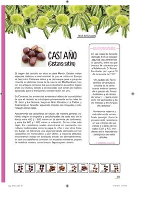 99
HOJA del Castaño
El origen del castaño se sitúa en Asia Menor. Existen varias
especies distintas a nivel mundial: la que se cultiva en Europa
se denomina Castanea sativa, y se piensa que pese a que ya se
conocía en distintas zonas de la cuenca del Mediterráneo, fue-
ron los antiguos romanos los que expandieron su cultivo, ligado
al de los viñedos, debido a la necesidad que tenían de madera
apropiada para el transporte y conservación del vino.
En Canarias, las evidencias existentes hablan de la posibilidad
de que el castaño se introdujera primeramente en las islas de
El Hierro y La Gomera, luego en Gran Canaria y La Palma, y
ﬁnalmente en Tenerife, siguiendo el orden de conquista y colo-
nización de las islas.
Actualmente los castañeros se sitúan, de manera general, va-
riando según la orografía y peculiaridades de cada isla, en la
franja entre 400 y 1.600 msnm en la vertiente de barlovento,
y entre los 600 y 1.800 msnm a sotavento. En las cotas más
bajas, los castañeros suelen encontrarse en asociación con
cultivos tradicionales como la papa, la viña o con otros fruta-
les; luego, se diferencia una segunda banda dominada por los
castañeros en monocultivo; y por último, a mayores altitudes,
encontramos masas en avanzado estado de asilvestramiento,
en que los castañeros conviven con especies silvestres propias
de nuestros montes, como brezos, fayas o pino canario.
CAST AÑO
(Castanea sativa)
Jabudo PeloñoManso
101
Mulato Picuda Redonda
101101
Arafera Castagrande Culochico Polegre
CURIOSIDADES
En las Datas de Tenerife
del siglo XVI se recogen
algunas citas referentes
al castaño, entre las que
destaca la concedida por
el Adelantado D. Alonso
Fernández de Lugo el 18
de diciembre de 1517:
“Un pedazo de Tierra
termino de Arautava,
encima de la sierra
nueva, entre el camino
de la prensa de Tomas
Justiniano y el camino
del pinar, (…) para poner
ocho mil sarmientos y tre
mil morales y tre mil pies
de castaños”.
Numerosos viajeros y
naturalistas de renom-
brado prestigio citaron la
presencia de castañeros
en las crónicas de sus
visitas a lo largo de los
siglos XVIII y XIX, inci-
diendo en la importancia
paisajística de estos
árboles. .
... CONTINUACIÓN
100 100100 102 102 102 102
asaga febrero.indd 99 17/02/2012 13:48:50
 
