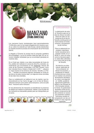 113
del País PeroCamuesa ReinetaPajarita PanaBomba
HOJA del manzano
Los manzanos fueron domesticados hace aproximadamente
15.000 años, pero no fue hasta la llegada de los romanos cuan-
do su cultivo se extendió por toda Europa, siendo introducidos
en España durante el proceso de romanización de la Península
Ibérica.
La llegada a Canarias se produjo tras la conquista castellana
del archipiélago, y ya en la primera mitad del siglo XVI se co-
nocían múltiples variedades que se encontraban plantadas en
nuestras islas.
Es un frutal que, debido a sus altas necesidades de horas de
frío, preﬁere ser cultivado en zonas de clima frío y húmedo, ca-
racterísticas que encontramos en las medianías* frescas del
norte de las Canarias occidentales y de Gran Canaria; como
bien indicaba Viera y Clavijo a ﬁnales del S. XVIII: “…adquiere
su mejor lozanía en los terrenos de Canaria, Tenerife y La Pal-
ma…”. También encontramos algunas variedades en zonas al-
tas del sur de estas mismas islas, y en algunas zonas concretas
de las islas más orientales.
Para su multiplicación es habitual el uso de injertos, que tra-
dicionalmente se han hecho de púa* y en el mes de febrero,
utilizando siempre como patrón otros manzanos: como se suele
decir, “manzana sobre manzana”.
En las plantaciones de manzanos es beneﬁciosa la presencia
de abejas que realicen la polinización, debido a que el polen de
los manzanos es demasiado pesado para ser transportado por
el viento.
MANZANO
(Malus domestica)
CURIOSIDADES
La elaboración de sidra
en Tenerife surge con la
idea de ofrecer una alter-
nativa de cultivo en las
medianías de la isla de
Tenerife contribuyendo al
mismo tiempo al mante-
nimiento y recuperación
de las mismas.
Para su elaboración se
emplean mayoritaria-
mente manzanas de la
variedad reineta, en un
90-95 %, junto con otras
como la manzana pajari-
ta, todas ellas cultivadas
en la zona norte de la isla
de Tenerife.
Se trata de una sidra
natural, elaborada de
forma artesanal, sin
adición de azúcares, y
empleando el método
champenoise que consis-
te en realizar una primera
fermentación alcohólica
en cuba y una segunda
en botella, quedando
ligeramente gasiﬁcada
debido a las burbujas de
CO2 formadas durante
la misma. Su graduación
alcohólica ronda los 8,5
grados consecuencia del
alto contenido en azúcar
que presentan nuestras
manzanas reinetas en
comparación con las cul-
tivadas en otras regiones
españolas.114 114 114 114 115 115 115
asaga febrero.indd 113 17/02/2012 13:50:48
 