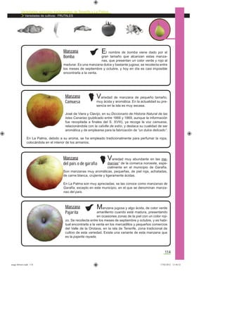 Variedades agrícolas tradicionales de Tenerife y La Palma
Variedades de cultivos: FRUTALES
114
Manzana jugosa y algo ácida, de color verde
amarillento cuando está madura, presentando
en ocasiones zonas de la piel con un color roji-
zo. Se recolecta entre los meses de septiembre y octubre, y es habi-
tual encontrarla a la venta en los mercadillos y pequeños comercios
del Valle de la Orotava, en la isla de Tenerife, zona tradicional de
cultivo de esta variedad. Existe una variante de esta manzana que
es la pajarita rayada.
Variedad de manzana de pequeño tamaño,
muy ácida y aromática. En la actualidad su pre-
sencia en la isla es muy escasa.
José de Viera y Clavijo, en su Diccionario de Historia Natural de las
Islas Canarias (publicado entre 1866 y 1869, aunque la información
fue recopilada a ﬁnales del S. XVIII), ya recoge la voz camuesa,
relacionándola con la calville de estío, y destaca su cualidad de ser
aromática y de emplearse para la fabricación de “un dulce delicado”.
En La Palma, debido a su aroma, se ha empleado tradicionalmente para perfumar la ropa,
colocándola en el interior de los armarios.
El nombre de bomba viene dado por el
gran tamaño que alcanzan estas manza-
nas, que presentan un color verde y rojo al
madurar. Es una manzana dulce y bastante jugosa; se recolecta entre
los meses de septiembre y octubre, y hoy en día es casi imposible
encontrarla a la venta.
Manzana
Bomba
Manzana
Camuesa
Variedad muy abundante en las me-
dianías* de la comarca noroeste, espe-
cialmente en el municipio de Garafía.
Son manzanas muy aromáticas, pequeñas, de piel roja, achatadas,
de carne blanca, crujiente y ligeramente ácidas.
En La Palma son muy apreciadas; se las conoce como manzanas de
Garafía, excepto en este municipio, en el que se denominan manza-
nas del país.
Manzana
del país o de garafía
Manzana
Pajarita
asaga febrero.indd 114 17/02/2012 13:50:52
 