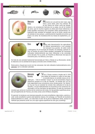 Variedades agrícolas tradicionales de Tenerife y La Palma
Variedades de cultivos: FRUTALES
115
Manzana con una piel de color rojizo, algo
seca y poco dulce, pero muy olorosa. No
es tan buena de comer como las demás,
debido a la consistencia harinosa de su pulpa; de ahí el nombre
de pana, que en muchos lugares se utiliza para hacer referencia a
todas aquellas manzanas que comparten estas características. Ac-
tualmente esta variedad ha quedado casi en el olvido, siendo raro
ver árboles en los campos, y prácticamente imposible encontrar sus
frutos a la venta. Se recolecta entre los meses de septiembre y oc-
tubre.
Manzana
Pana
Bajo esta denominación los agricultores
se reﬁeren generalmente a una variedad
de manzana muy grande, de sabor ácido
y astringente. En el municipio de Garafía, sin embargo, parecen re-
cibir el nombre de peros todas aquellas variedades de manzanas
cultivadas tradicionalmente que sean diferentes a las conocidas
como del país. Por su parte, en Tenerife se diferencian dos tipos de
manzanos pero, los blancos y los rojos.
Se trata de una variedad tradicional mencionada por Viera y Clavijo en su Diccionario, donde
la relaciona con la variedad de la época conocida como reinette enana.
Estos peros, al igual que ocurre con las camuesas, han sido utilizados tradicionalmente como
patrones* por su elevada rusticidad.
Viera y Clavijo nombra a ﬁnales del S. XVIII
tres clases de reinetas en cultivo en las islas:
“…la reinette blanca, la reinette enana y la rei-
nette gris…”. De la variedad “enana” no se ha encontrado ninguna
referencia reciente en la isla de Tenerife, “la reinette gris” es con
toda seguridad la que conocemos como reineta parda, y la “blanca”
es hoy por hoy la variedad de reineta más cultivada en la isla de
Tenerife, y la que habitualmente se encuentra en los comercios tra-
dicionales y en los mercados de agricultores. El resto de manzanas
reinetas que vemos en muchos de los comercios de la isla y en las grandes superﬁcies proce-
den principalmente de Francia y de otras zonas como El Bierzo (España).
En general, la reineta es una manzana pequeña, de carne amarillenta y algo ácida, y piel de un
color verde amarillento cuando está bastante madura. Sin embargo, en Tenerife se recolecta
tradicionalmente en verde, y en esta fase el color de la piel es totalmente verde, aunque es
habitual que presente zonas con una capa rugosa superﬁcial de color gris (russeting).
Pero
Manzana
Reineta
asaga febrero.indd 115 17/02/2012 13:51:02
 