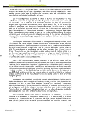 10
Variedades agrícolas tradicionales de Tenerife y La Palma
Prólogo.
los maizales híbridos homogéneos del sur de USA morían masivamente a consecuencia
de un hongo que atacaba al maíz. Esto ocasionó inmensas pérdidas económicas y daños
sociales durante varios años. El problema fue resuelto gracias a la resistencia al hongo
encontrada en variedades tradicionales africanas.
La diversidad genética que salvó la patata en Europa en el siglo XIX y el maíz
en Estados Unidos en el siglo XX, procedía de países en desarrollo y no estaba allí
por casualidad. Era el producto de la selección realizada por miles de generaciones
de pequeños agricultores tradicionales; ellos siguen siendo hoy, en un mundo que
a menudo les ignora, o los ve como un relicto del pasado, los custodios de la mayor
parte de la diversidad biológica agrícola con que aún podemos contar; aquéllos que
continúan desarrollando, conservando y poniendo a disposición de otros agricultores,
de los mejoradores profesionales e incluso de los modernos biotecnólogos, la materia
prima necesaria para la selección, investigación y mejora de las plantas cultivadas. Son
estos sencillos campesinos los que siguen teniendo las llaves del futuro alimenticio de la
humanidad.
Los ejemplos anteriores ilustran también la interdependencia entre distintos países
y continentes. De hecho, ningún país es autosuﬁciente en materia de RGAA (recursos
genéticos agrícolas) y la dependencia media es superior al 70%. En España la dependencia
de genes procedentes del exterior en el caso de nuestros principales cultivos supera el
80%. En general se da la paradoja de que los países llamados ricos, porque lo son en
dinero y tecnología, son los más pobres en agro-biodiversidad, la materia prima de la
que depende la producción de sus alimentos, y esto es así porque los principales centros
de origen y diversidad de cultivos están en las zonas sub-tropicales donde a menudo se
encuentran situados los países en desarrollo.
La cooperación internacional en esta materia no es por tanto una opción, sino una
necesidad urgente. Ello ha hecho posible una empresa que parecía utópica: la negociación
y aprobación en el seno de la FAO de un Tratado Internacional de Recursos Fitogenéticos,
cuyos objetivos son la conservación para el futuro y el uso sostenible de las variedades
tradicionales de las plantas cultivadas, así como el acceso a las mismas para investigación
y mejora genética, y la distribución justa y equitativa de los beneﬁcios derivados de su
uso. El Tratado también reconoce por primera vez en un acuerdo vinculante de Naciones
Unidas, los Derechos de los Agricultores tradicionales como custodios de la diversidad
biológica agrícola.
A nivel local, las variedades tradicionales pueden ser consideradas como autenticas
obras de arte viviente realizadas y perfeccionadas por los agricultores tradicionales de cada
comunidad, a lo largo de milenios de selección y adaptación a los gustos y condiciones
agro-ecológicas locales. Forman parte, junto a la lengua, la literatura, los monumentos, el
arte y el paisaje local, de las señas de identidad cultural de cada pueblo y cada nación.
Podemos decir con razón que el arte y la literatura son a la cultura, lo que las variedades
locales de plantas y las razas autóctonas de animales a la agricultura.
Las variedades tradicionales canarias constituyen un patrimonio, una valiosa
herencia, que representa la inteligencia, la tenacidad y el trabajo duro de nuestros
antepasados y que contiene en su diversidad, la capacidad de adaptación necesaria
para que las generaciones venideras puedan mantener las máximas opciones para
asaga febrero.indd 10 17/02/2012 13:40:00
 