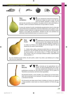 Variedades agrícolas tradicionales de Tenerife y La Palma
Variedades de cultivos: FRUTALES
118
Es una variedad de maduración temprana,
durante los meses de junio y julio. Es una
pera de tamaño pequeño o medio, con la
piel de color amarillo en la madurez. Su pulpa es de un color entre blanco y
amarillo, y tiene una textura mantecosa a la que debe su nombre.
La pera de manteca ha sido considerada popularmente como la más apta
para la fabricación de diferentes productos elaborados como dulces o mer-
meladas, de gran tradición en algunas zonas de la isla de La Palma, donde
llegaron a ser objeto de exportación. También ha sido una variedad muy
apreciada tradicionalmente para su consumo en seco.
Pera
de Manteca
Posiblemente se trate de una de las varie-
dades de peras más antiguas de Canarias.
Ya el clérigo azoriano Gaspar Frutuoso en
su visita a La Palma en la década de los 60 del siglo XVI cita la
presencia de ciertas “peras pardas”:
“[…] todos estos valles y barrancos están llenos no sólo de viñas
tempranas, sino de frutales de toda clase de agrios, de granadas,
de peras pardas y de muchos otros [...]”.“Tiene este lugar una
gran fuente y hay en el municipio árboles frutales, especialmente
peras pardas [...]”.
Es una variedad de pera tardía, de color pardo y sabor muy dulce, que destaca por su larga
vida una vez cosechada.
Pera
Parda
Muy conocida por los agricultores de La
Palma, se trata probablemente de la varie-
dad más ampliamente distribuida en la isla,
pudiéndose encontrar en casi todos los municipios. Por su parte, en
Tenerife la encontramos de forma más esporádica.
De pequeño tamaño y color amarillo y rojo, destaca por su forma acha-
tada, que la asemeja a una manzana. Su pulpa es blanca, poco jugosa
y de textura harinosa.
Era frecuente que estas peras fueran cortadas en trozos con cáscara
y luego puestas a secar para su consumo posterior en forma de ore-
jones*.
Pera
Manzana
asaga febrero.indd 118 17/02/2012 13:51:21
 