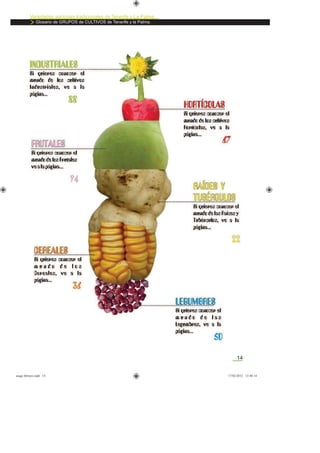 14
Variedades agrícolas tradicionales de Tenerife y La Palma
Glosario de GRUPOS de CULTIVOS de Tenerife y la Palma.
asaga febrero.indd 14 17/02/2012 13:40:14
 