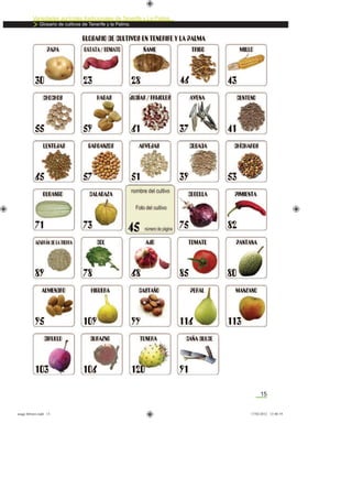 15
Variedades agrícolas tradicionales de Tenerife y La Palma
Glosario de cultivos de Tenerife y la Palma.
asaga febrero.indd 15 17/02/2012 13:40:19
 