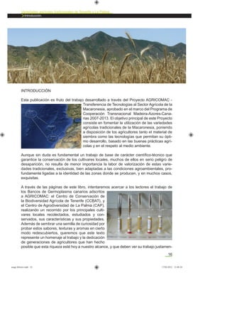 16
Variedades agrícolas tradicionales de Tenerife y La Palma
Introducción.
INTRODUCCIÓN
Esta publicación es fruto del trabajo desarrollado a través del Proyecto AGRICOMAC -
Transferencia de Tecnologías al Sector Agrícola de la
Macaronesia, aprobado en el marco del Programa de
Cooperación Transnacional Madeira-Azores-Cana-
rias 2007-2013. El objetivo principal de este Proyecto
consiste en fomentar la utilización de las variedades
agrícolas tradicionales de la Macaronesia, poniendo
a disposición de los agricultores tanto el material de
siembra como las tecnologías que permitan su ópti-
mo desarrollo, basado en las buenas prácticas agrí-
colas y en el respeto al medio ambiente.
Aunque sin duda es fundamental un trabajo de base de carácter cientíﬁco-técnico que
garantice la conservación de los cultivares locales, muchos de ellos en serio peligro de
desaparición, no resulta de menor importancia la labor de valorización de estas varie-
dades tradicionales, exclusivas, bien adaptadas a las condiciones agroambientales, pro-
fundamente ligadas a la identidad de las zonas donde se producen, y en muchos casos,
exquisitas.
A través de las páginas de este libro, intentaremos acercar a los lectores el trabajo de
los Bancos de Germoplasma canarios adscritos
a AGRICOMAC: el Centro de Conservación de
la Biodiversidad Agrícola de Tenerife (CCBAT), y
el Centro de Agrodiversidad de La Palma (CAP),
realizando un recorrido por los principales culti-
vares locales recolectados, estudiados y con-
servados, sus características y sus propiedades.
Además de sembrar una semilla de curiosidad por
probar estos sabores, texturas y aromas en cierto
modo redescubiertos, queremos que este texto
represente un homenaje al trabajo y la dedicación
de generaciones de agricultores que han hecho
posible que esta riqueza esté hoy a nuestro alcance, y que deben ver su trabajo justamen-
asaga febrero.indd 16 17/02/2012 13:40:24
 