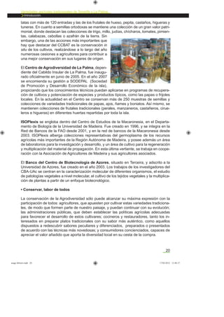 20
Variedades agrícolas tradicionales de Tenerife y La Palma
Introducción.
tatas con más de 120 entradas y las de los frutales de hueso, pepita, castaños, higueras y
tuneras. En cuanto a semillas ortodoxas se mantiene una colección de un gran valor patri-
monial, donde destacan las colecciones de trigo, millo, judías, chícharos, tomates, pimien-
tas, calabazas, cebollas o azafrán de la tierra. Sin
embargo, una de las acciones más importantes que
hay que destacar del CCBAT es la conservación in
situ de los cultivos, realizándose a lo largo del año
numerosas cesiones a agricultores para contribuir a
una mejor conservación en sus lugares de origen.
El Centro de Agrodiversidad de La Palma, depen-
diente del Cabildo Insular de La Palma, fue inaugu-
rado oﬁcialmente en junio de 2005. En el año 2007
se encomienda su gestión a SODEPAL (Sociedad
de Promoción y Desarrollo Económico de la isla),
propiciando que los conocimientos técnicos puedan aplicarse en programas de recupera-
ción de cultivos y potenciación de especies y productos típicos, como las papas o frijoles
locales. En la actualidad en el Centro se conservan más de 250 muestras de semillas y
colecciones de variedades tradicionales de papas, ajos, ñames y boniatos. Así mismo, se
mantienen colecciones de frutales tradicionales (perales, manzaneros, castañeros, cirue-
leros e higueras) en diferentes huertas repartidas por toda la isla.
ISOPlexis se engloba dentro del Centro de Estudios de la Macaronesia, en el Departa-
mento de Biología de la Universidad de Madeira. Fue creado en 1996, y se integra en la
Red de Bancos de la FAO desde 2001, y en la red de bancos de la Macaronesia desde
2003. ISOPlexis alberga colecciones representativas del germoplasma de los recursos
agrícolas más importantes de la Región Autónoma de Madeira, y posee además un área
de laboratorios para la investigación y desarrollo, y un área de cultivo para la regeneración
y multiplicación del material de propagación. En esta última vertiente, se trabaja en coope-
ración con la Asociación de Agricultores de Madeira y sus agricultores asociados.
El Banco del Centro de Biotecnología de Azores, situado en Terceira, y adscrito a la
Universidad de Azores, fue creado en el año 2003. Los trabajos de los investigadores del
CBA-UAc se centran en la caracterización molecular de diferentes organismos, el estudio
de patologías vegetales a nivel molecular, el cultivo de los tejidos vegetales y la multiplica-
ción de plantas a partir de un enfoque biotecnológico.
• Conservar, labor de todos
La conservación de la Agrodiversidad sólo puede alcanzar su máxima expresión con la
participación de todos: agricultores, que apuesten por cultivar estas variedades tradiciona-
les, de modo que formen parte de nuestro paisaje, y puedan continuar con su evolución;
las administraciones públicas, que deben establecer las políticas agrícolas adecuadas
para favorecer el desarrollo de estos cultivares; cocineros y restauradores, tanto los in-
teresados en preparar platos tradicionales con su sabor más auténtico, como aquellos
dispuestos a redescubrir sabores peculiares y diferenciados, preparados o presentados
de acuerdo con las técnicas más novedosas; y consumidores concienciados, capaces de
apreciar el valor añadido que aporta la diversidad local en su cesta de la compra.
asaga febrero.indd 20 17/02/2012 13:40:37
 