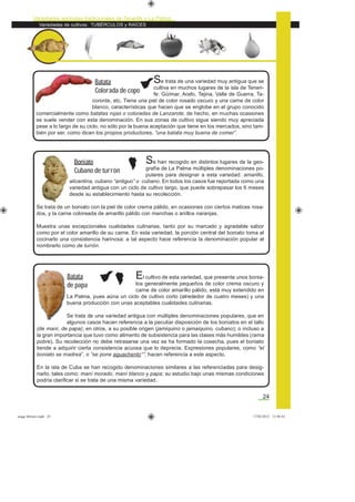 Variedades de cultivos: TUBÉRCULOS y RAÍCES
Variedades agrícolas tradicionales de Tenerife y La Palma
24
El cultivo de esta variedad, que presenta unos bonia-
tos generalmente pequeños de color crema oscuro y
carne de color amarillo pálido, está muy extendido en
La Palma, pues aúna un ciclo de cultivo corto (alrededor de cuatro meses) y una
buena producción con unas aceptables cualidades culinarias.
Se trata de una variedad antigua con múltiples denominaciones populares, que en
algunos casos hacen referencia a la peculiar disposición de los boniatos en el tallo
(de maní, de papa); en otros, a su posible origen (jamiquino o jamaiquino, cubano); o incluso a
la gran importancia que tuvo como alimento de subsistencia para las clases más humildes (rama
pobre). Su recolección no debe retrasarse una vez se ha formado la cosecha, pues el boniato
tiende a adquirir cierta consistencia acuosa que lo deprecia. Expresiones populares, como “el
boniato se madrea”, o “se pone aguachento*”, hacen referencia a este aspecto.
En la isla de Cuba se han recogido denominaciones similares a las referenciadas para desig-
narlo, tales como: maní morado, maní blanco y papa; su estudio bajo unas mismas condiciones
podría clariﬁcar si se trata de una misma variedad.
Se trata de una variedad muy antigua que se
cultiva en muchos lugares de la isla de Teneri-
fe: Güímar, Arafo, Tejina, Valle de Guerra, Ta-
coronte, etc. Tiene una piel de color rosado oscuro y una carne de color
blanco, características que hacen que se englobe en el grupo conocido
comercialmente como batatas rojas o coloradas de Lanzarote; de hecho, en muchas ocasiones
se suele vender con esta denominación. En sus zonas de cultivo sigue siendo muy apreciada
pese a lo largo de su ciclo, no sólo por la buena aceptación que tiene en los mercados, sino tam-
bién por ser, como dicen los propios productores, “una batata muy buena de comer”.
Batata
Colorada de copo
Batata
de papa
Se han recogido en distintos lugares de la geo-
grafía de La Palma múltiples denominaciones po-
pulares para designar a esta variedad: amarillo,
alicantina, cubano “antiguo” o cubano. En todos los casos fue reportada como una
variedad antigua con un ciclo de cultivo largo, que puede sobrepasar los 6 meses
desde su establecimiento hasta su recolección.
Se trata de un boniato con la piel de color crema pálido, en ocasiones con ciertos matices rosa-
dos, y la carne coloreada de amarillo pálido con manchas o anillos naranjas.
Muestra unas excepcionales cualidades culinarias, tanto por su marcado y agradable sabor
como por el color amarillo de su carne. En esta variedad, la porción central del boniato toma al
cocinarlo una consistencia harinosa: a tal aspecto hace referencia la denominación popular al
nombrarlo como de turrón.
Boniato
Cubano de turrón
asaga febrero.indd 24 17/02/2012 13:40:42
 