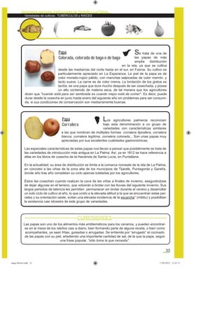 Variedades de cultivos: TUBÉRCULOS y RAÍCES
Variedades agrícolas tradicionales de Tenerife y La Palma
33
Los agricultores palmeros reconocen
bajo esta denominación a un grupo de
variedades con características similares
a las que nombran de múltiples formas: corralera tijarafera, corralera
blanca, corralera legítima, corralera colorada... Son unas papas muy
apreciadas por sus excelentes cualidades gastronómicas.
Las especiales características de estas papas nos llevan a pensar que posiblemente se trate de
las variedades de introducción más antigua en La Palma. Así, ya en 1812 se hace referencia a
ellas en los libros de cosecha de la Hacienda de Santa Lucía, en Puntallana.
En la actualidad, su área de distribución se limita a la comarca noroeste de la isla de La Palma,
en concreto a las viñas de la zona alta de los municipios de Tijarafe, Puntagorda y Garafía,
donde año tras año completan su ciclo apenas tuteladas por los agricultores.
Éstos las cosechan cuando realizan la cava de las viñas a ﬁnales de invierno, asegurándose
de dejar algunas en el terreno, que volverán a brotar con las lluvias del siguiente invierno. Sus
largos periodos de latencia les permiten permanecer sin brotar durante el verano y desarrollar
un solo ciclo de cultivo al año, lo que unido a la elevada altitud a la que se encuentran estas par-
celas y su orientación oeste, evitan una elevada incidencia de la escarcha* (mildiu) y posibilitan
la existencia casi silvestre de este grupo de variedades.
Se trata de una de
las papas de más
amplia distribución
en la isla, ya que se cultiva
desde las medianías del norte hasta en el sur, en Fasnia. Su cultivo es
particularmente apreciado en La Esperanza. La piel de la papa es de
color morado-rojizo pálido, con manchas salpicadas de color marrón, y
tacto suave. La carne es de color crema. La brotación de los grelos es
tardía: es una papa que dura mucho después de ser cosechada, y posee
un alto contenido de materia seca, de tal manera que los agricultores
dicen que "cuando está para ser sembrada es cuando mejor está de comer". Es decir, puede
durar desde la cosecha en junio hasta enero del siguiente año sin problemas para ser consumi-
da, si sus condiciones de conservación son medianamente buenas.
Papa
Colorada, colorada de baga o de baga
Papa
Corralera
Las papas son uno de los alimentos más emblemáticos para los canarios, y pueden encontrar-
se en la mesa de los isleños casi a diario, bien formando parte de alguna receta, o bien como
acompañantes, ya sean fritas, guisadas o arrugadas. Se entiende por “arrugado” el cocinado
de las papas con su piel, añadiendo una importante cantidad de sal, de la que la papa, según
una frase popular, “sólo toma la que necesita”.
CURIOSIDADES
asaga febrero.indd 33 17/02/2012 13:42:15
 