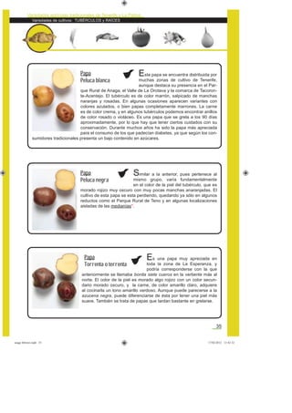 Variedades de cultivos: TUBÉRCULOS y RAÍCES
Variedades agrícolas tradicionales de Tenerife y La Palma
35
Similar a la anterior, pues pertenece al
mismo grupo, varía fundamentalmente
en el color de la piel del tubérculo, que es
morado rojizo muy oscuro con muy pocas manchas anaranjadas. El
cultivo de esta papa se esta perdiendo, quedando ya sólo en algunos
reductos como el Parque Rural de Teno y en algunas localizaciones
aisladas de las medianías*.
Esta papa se encuentra distribuida por
muchas zonas de cultivo de Tenerife,
aunque destaca su presencia en el Par-
que Rural de Anaga, el Valle de La Orotava y la comarca de Tacoron-
te-Acentejo. El tubérculo es de color marrón, salpicado de manchas
naranjas y rosadas. En algunas ocasiones aparecen variantes con
colores azulados, o bien papas completamente marrones. La carne
es de color crema, y en algunos tubérculos podemos encontrar anillos
de color rosado o violáceo. Es una papa que se grela a los 90 días
aproximadamente, por lo que hay que tener ciertos cuidados con su
conservación. Durante muchos años ha sido la papa más apreciada
para el consumo de los que padecían diabetes, ya que según los con-
sumidores tradicionales presenta un bajo contenido en azúcares.
Papa
Peluca blanca
Es una papa muy apreciada en
toda la zona de La Esperanza, y
podría corresponderse con la que
anteriormente se llamaba bonita siete cueros en la vertiente más al
norte. El color de la piel es morado algo rojizo con un color secun-
dario morado oscuro, y la carne, de color amarillo claro, adquiere
al cocinarla un tono amarillo verdoso. Aunque puede parecerse a la
azucena negra, puede diferenciarse de ésta por tener una piel más
suave. También se trata de papas que tardan bastante en grelarse.
Papa
Peluca negra
Papa
Torrenta o terrenta
asaga febrero.indd 35 17/02/2012 13:42:32
 