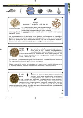 Variedades agrícolas tradicionales de Tenerife y La Palma
Variedades de cultivos: LEGUMBRES
52
En la isla de Tenerife, este cultivo tiene actualmente
carácter testimonial. Se puede encontrar en los dos
Parque Rurales, Teno y Anaga, y con menor presencia
en otros pueblos de las medianías* del norte y oeste de la isla, pero es casi inexistente en las
medianías* del sur.
Las variedades a las que los agricultores hacen referencia son básicamente las arvejas arru-
gadas, las de manteca, que son bastante apreciadas para comer, y otras de menor tamaño y
textura lisa denominadas lisas o de aquí. En el barrio de San José, en San Juan de la Rambla,
se recuerda el cultivo de un tipo de arveja que era más grande que las actuales.
Arvejas
de manteca o arrugadas / lisas o de aquí
Los agricultores de La Palma agrupan bajo la denomi-
nación arveja del país a diferentes variedades tradicio-
nales, las cuales se diferencian por su color, forma, ciclo
y hábito de crecimiento. Así, dentro de este grupo existen variedades con
granos de color verde o beige, lisos o arrugados, con ciclos de cultivo largo
o corto y de mata alta o baja.
Son cultivadas fundamentalmente para su consumo en tierno, aunque en el pasado también se
han llegado a utilizar secas, de igual modo que otros granos.
Para el entutorado de aquellas variedades que así lo requieren se ha acudido tradicionalmente
al empleo de diferentes materiales como ramas de almendrero o tagasaste y cañas.
Arvejas
del país
Además del grupo de arvejas del país, encontramos
la llamada arveja negra. Se trata de una planta de gran
tamaño y ﬂoración muy vistosa, con ﬂores coloreadas
de rosa y morado. Los granos son irregulares, de tonos pardo-verduzcos,
abundantemente pigmentados. La unión de la hoja con el tallo presenta una
coloración morada, característica ésta que permite diferenciarla de otras va-
riedades con facilidad. Se cultivó fundamentalmente para la alimentación del
ganado, ya que su paja era muy apreciada para tal ﬁn. También se utilizaban sus granos para
el consumo humano, sobre todo en potajes.
Arvejas
Negras
lisas o de aquímanteca o arrugadas
asaga febrero.indd 52 17/02/2012 13:44:09
 