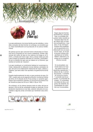 68
HOJA de la planta del Ajo
69
Los ajos pertenecen a la misma familia que las cebollas y, como
ellas, proceden de Asia Central; sin embargo, se considera que
su mayor diversiﬁcación se ha producido en la cuenca medite-
rránea.
Se piensa que los ajos comunes fueron introducidos en Cana-
rias tras la conquista por los nuevos pobladores. Existen refe-
rencias del cultivo de ajos en los caseríos de Anaga en el S.
XVIII, y a ﬁnales del mismo siglo, Viera y Clavijo relata que este
cultivo estaba ya bastante extendido en Canarias, sobresalien-
do por su tamaño los ajos que se criaban en La Gomera, que
recibían el nombre de “canarios”.
Los ajos constituyen un condimento habitual en numerosas co-
midas, destacando la utilización de las distintas variedades de
ajos del país en la elaboración tradicional de mojos, adobos y
majados, que tanto sabor han aportado a la gastronomía de las
islas.
España tradicionalmente ha sido un gran productor de ajos. En
1961, nuestro país era el segundo productor mundial por detrás
de China. En la década de los 70 se produjo un aumento signi-
ﬁcativo de la superﬁcie cultivada. En la provincia de Santa Cruz
de Tenerife se pasó de 30 ha en 1968 a 126 en 1973.
Sin embargo, en los últimos tiempos tanto el cultivo del ajo en
general, como el de las variedades locales en particular, ha ido
perdiendo importancia en las islas, estando reducido en la ac-
tualidad a algunas zonas concretas que mantienen esta activi-
dad.
CURIOSIDADES
Según algunas fuentes
etnohistóricas y etnográ-
ﬁcas, es probable que
pudiera haber existido en
Canarias algún tipo de
ajo (Allium spp.) en épo-
cas prehispánicas, y que
éste, el “ajo chirringue”,
hubiese sido empleado
por los guanches en la
elaboración de una espe-
cie de “mojo”, en el que
el picante hubiese sido
aportado por la hierba
“taferte” (relinchón) y la
acidez por la vinagrera
(Rumex lunaria).
En la actualidad, una
receta básica de mojo
rojo podría incluir los
siguientes ingredientes: 1
cabeza de ajo, 2 pimien-
tas piconas, 1 cucharita
de cominos en grano,
1 cucharilla rasa de pi-
mentón, 4 cucharadas de
vinagre, 15 cucharadas
de aceite de oliva y sal
gorda. No obstante, las
posibilidades de varia-
ción son innumerables.
AJO
(Allium spp.)
Blanco
69
Moradode Arguayo
70
del paísde El Molledo
70
Porro (grande)
69 70
asaga febrero.indd 68 17/02/2012 13:45:39
 