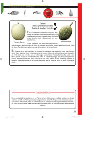 Variedades agrícolas tradicionales de Tenerife y La Palma
Variedades de cultivos: HORTÍCOLAS
81
En Tenerife se da este nombre a un conjunto de pantanas que presentan frutos bien de color
verde claro, algunas veces veteados de verde oscuro, o bien de color verde oscuro ribeteados
de verde claro. Las semillas son de color negro. La carne del fruto es blanca, algo seca, y con
ﬁbras: de ahí la textura característica del dulce de cabello de ángel. Se utiliza principalmente
para la elaboración de este dulce, el cual se usa como relleno en las truchas y pasteles de
Navidad. Se suele cultivar en las zonas altas de la isla de Tenerife, tanto en el sur como en el
norte.
En La Palma se conocen dos cultivares dife-
rentes de pantana: una denominada blanca y
otra llamada verde o matizada, ésta última de
mayor tamaño, color más oscuro y con ban-
das blancas.
Estas pantanas han sido utilizadas tradicio-
nalmente para la elaboración del dulce de pantana, en potajes, o para la elaboración del caldo
de leche. También se emplean para la alimentación de los cochinos.
Pantana
Blanca y Verde en La Palma
Cabello de ángel en Tenerife
Pantana Blanca Pantana Verde
CURIOSIDADES
Como curiosidad, las pantanas en La Palma se han utilizado para modelar los cuernos de las
cabras, para lo cual eran puestas al fuego enteras con el ﬁn de que, una vez colocadas en
los cuernos del animal, éstos se calentaran con el calor acumulado y permitieran su modela-
do. Otro uso tradicional era el empleo de sus hojas a modo de estropajos para la limpieza de
calderos.
asaga febrero.indd 81 17/02/2012 13:46:55
 