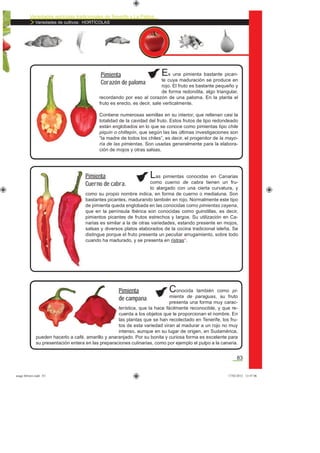 Variedades agrícolas tradicionales de Tenerife y La Palma
Variedades de cultivos: HORTÍCOLAS
83
Es una pimienta bastante pican-
te cuya maduración se produce en
rojo. El fruto es bastante pequeño y
de forma redondita, algo triangular,
recordando por eso al corazón de una paloma. En la planta el
fruto es erecto, es decir, sale verticalmente.
Contiene numerosas semillas en su interior, que rellenan casi la
totalidad de la cavidad del fruto. Estos frutos de tipo redondeado
están englobados en lo que se conoce como pimientas tipo chile
piquín o chiltepín, que según las las últimas investigaciones son
“la madre de todos los chiles”, es decir, el progenitor de la mayo-
ría de las pimientas. Son usadas generalmente para la elabora-
ción de mojos y otras salsas.
Pimienta
Corazón de paloma
Las pimientas conocidas en Canarias
como cuerno de cabra tienen un fru-
to alargado con una cierta curvatura, y
como su propio nombre indica, en forma de cuerno o medialuna. Son
bastantes picantes, madurando también en rojo. Normalmente este tipo
de pimienta queda englobada en las conocidas como pimientas cayena,
que en la península Ibérica son conocidas como guindillas, es decir,
pimientos picantes de frutos estrechos y largos. Su utilización en Ca-
narias es similar a la de otras variedades, estando presente en mojos,
salsas y diversos platos elaborados de la cocina tradicional isleña. Se
distingue porque el fruto presenta un peculiar arrugamiento, sobre todo
cuando ha madurado, y se presenta en ristras*.
Pimienta
Cuerno de cabra.
Conocida también como pi-
mienta de paraguas, su fruto
presenta una forma muy carac-
terística, que la hace fácilmente reconocible, y que re-
cuerda a los objetos que le proporcionan el nombre. En
las plantas que se han recolectado en Tenerife, los fru-
tos de esta variedad viran al madurar a un rojo no muy
intenso, aunque en su lugar de origen, en Sudamérica,
pueden hacerlo a café, amarillo y anaranjado. Por su bonita y curiosa forma es excelente para
su presentación entera en las preparaciones culinarias, como por ejemplo el pulpo a la canaria.
Pimienta
de campana
asaga febrero.indd 83 17/02/2012 13:47:06
 
