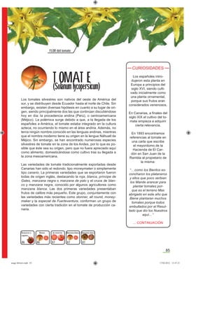 85
FLOR del tomate
86
Los tomates silvestres son nativos del oeste de América del
sur, y se distribuyen desde Ecuador hasta el norte de Chile. Sin
embargo, existen diversas hipótesis en cuanto a su lugar de ori-
gen, siendo principalmente dos las que continúan discutiéndose
hoy en día: la procedencia andina (Perú), o centroamericana
(Méjico). La polémica surge debido a que, a la llegada de los
españoles a América, el tomate estaba integrado en la cultura
azteca, no ocurriendo lo mismo en el área andina. Además, no
tenía ningún nombre conocido en las lenguas andinas, mientras
que el nombre moderno tiene su origen en la lengua Náhuatl de
Méjico. Sin embargo, se han encontrado numerosas especies
silvestres de tomate en la zona de los Andes, por lo que es po-
sible que éste sea su origen, pero que no fuera apreciado aquí
como alimento, domesticándose como cultivo tras su llegada a
la zona mesoamericana.
Las variedades de tomate tradicionalmente exportadas desde
Canarias han sido el redondo, tipo moneymaker o simplemente
tipo canario. La primeras variedades que se exportaron fueron
todas de origen inglés, destacando la roja, blanca, príncipe de
Gales, manzana negra o manzana de palo y el cruce de blan-
co y manzana negra, conocido por algunos agricultores como
manzana blanca. Las dos primeras variedades presentaban
frutos de calibre más pequeño. Este grupo, conjuntamente con
las variedades más recientes como stonner, all round, money-
maker y la especial de Fuerteventura, conforman un grupo de
variedades con cierta tradición en el tomate de producción ca-
naria.
CURIOSIDADES
Los españoles intro-
dujeron esta planta en
Europa a principios del
siglo XVI, siendo culti-
vado inicialmente como
una planta ornamental,
porque sus frutos eran
considerados venenosos.
En Canarias, a ﬁnales del
siglo XIX el cultivo del to-
mate empieza a adquirir
cierta relevancia.
En 1893 encontramos
referencias al tomate en
una carta que escribe
el mayordomo de la
Hacienda de El Car-
dón en San Juan de la
Rambla al propietario de
la misma:
“…como los Bientos es-
concharon los plataneros
y ellos que poco serbian
los Mande arancar para
plantar tomates por-
que es el terreno Mas
abrigado en este año que
Biene plantaran muchos
tomates porque todos
embullados por el Resul-
tado que dio los Nuestros
aquí... “
... CONTINUACIÓN
T OMAT E
(Solanum lycopersicum)
Manzana negra
86
Blanco
87
Manzana blanco
8787
de inviernoBicácaros o
cagones
asaga febrero.indd 85 17/02/2012 13:47:21
 