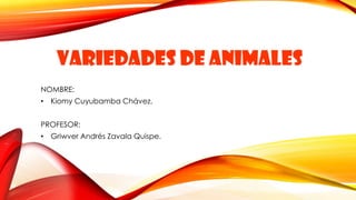VARIEDADES DE ANIMALES
NOMBRE:
• Kiomy Cuyubamba Chávez.
PROFESOR:
• Griwver Andrés Zavala Quispe.

 