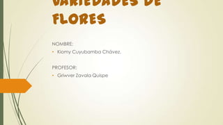 VARIEDADES DE
FLORES
NOMBRE:

• Kiomy Cuyubamba Chávez.
PROFESOR:
• Griwver Zavala Quispe

 
