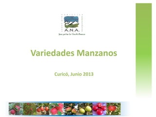 Variedades Manzanos
Curicó, Junio 2013
 