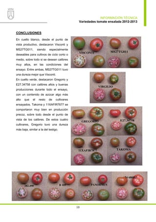 INFORMACIÓN TÉCNICA
Variedades tomate ensalada 2012-2013
10
CONCLUSIONES
En cuello blanco, desde el punto de
vista productivo, destacaron Visconti y
MS27TG011, siendo especialmente
deseables para cultivos de ciclo corto o
medio, sobre todo si se desean calibres
muy altos, en las condiciones del
ensayo. Entre ambas, MS27TG011 tuvo
una dureza mejor que Visconti.
En cuello verde, destacaron Gregorio y
E27.34758 con calibres altos y buenas
producciones durante todo el ensayo,
con un contenido de azúcar algo más
alto que el resto de cultivares
ensayados. Takoma y 11XAFIR7877 se
comportaron muy bien en producción
precoz, sobre todo desde el punto de
vista de los calibres. De estos cuatro
cultivares, Gregorio tuvo una dureza
más baja, similar a la del testigo.
VISCONTI MS27TG011
GREGORIO E27.34758
TAKOMA11XAFIR7877
VIRGILIO
74 680RZ
PANORMUSB 109282.490
 