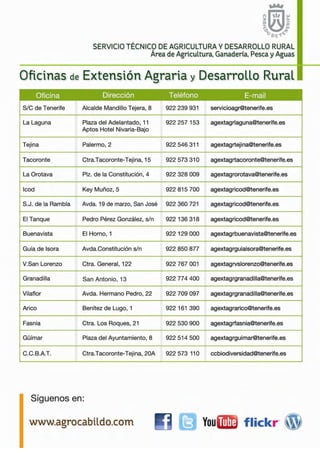 INFORMACIÓN TÉCNICA
Variedades tomate ensalada 2012-2013
11
 