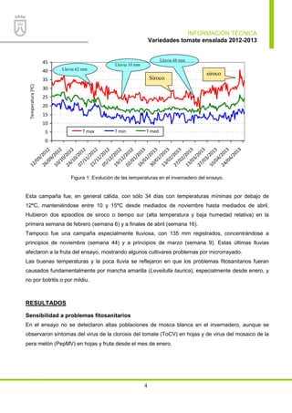 INFORMACIÓN TÉCNICA
Variedades tomate ensalada 2012-2013
4
0
5
10
15
20
25
30
35
40
45
12/09/2012
26/09/2012
10/10/2012
24/10/2012
07/11/2012
21/11/2012
05/12/2012
19/12/2012
02/01/2013
16/01/2013
30/01/2013
13/02/2013
27/02/2013
13/03/2013
27/03/2013
10/04/2013
24/04/2013
Temperatura(ºC)
T max T min T med
Figura 1: Evolución de las temperaturas en el invernadero del ensayo.
Esta campaña fue, en general cálida, con sólo 34 días con temperaturas mínimas por debajo de
12ºC, manteniéndose entre 10 y 15ºC desde mediados de noviembre hasta mediados de abril.
Hubieron dos episodios de siroco o tiempo sur (alta temperatura y baja humedad relativa) en la
primera semana de febrero (semana 6) y a finales de abril (semana 16).
Tampoco fue una campaña especialmente lluviosa, con 135 mm registrados, concentrándose a
principios de noviembre (semana 44) y a principios de marzo (semana 9). Estas últimas lluvias
afectaron a la fruta del ensayo, mostrando algunos cultivares problemas por microrrayado.
Las buenas temperaturas y la poca lluvia se reflejaron en que los problemas fitosanitarios fueran
causados fundamentalmente por mancha amarilla (Leveilulla taurica), especialmente desde enero, y
no por botritis o por mildiu.
RESULTADOS
Sensibilidad a problemas fitosanitarios
En el ensayo no se detectaron altas poblaciones de mosca blanca en el invernadero, aunque se
observaron síntomas del virus de la clorosis del tomate (ToCV) en hojas y de virus del mosaico de la
pera melón (PepMV) en hojas y fruta desde el mes de enero.
Siroco
siroco
Lluvia 62 mm
Lluvia 48 mm
Lluvia 10 mm
 