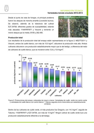 INFORMACIÓN TÉCNICA
Variedades tomate ensalada 2012-2013
5
Desde el punto de vista de hongos, el principal problema
fueron los ataques de mancha amarilla (Leveilulla taurica).
Se observó, además de la tolerancia del cultivar
E27.34758, diferentes grados de susceptibilidad, estando
más atacadas 11XAFIR7877 y Visconti y teniendo un
menor ataque que la media, B109 y 282.490.
Producción total
Los resultados de la producción total del ensayo están representados en la figura 2. MS27TG011 y
Visconti, ambos de cuello blanco, con más de 15.5 kg/m2
, obtuvieron la producción más alta. Ambos
cultivares obtuvieron una producción estadísticamente mayor que la del testigo, a diferencia del resto
de cultivares de cuello blanco, que se movieron entre 12.6 y 13.9 kg/m2
.
15.88
a*
15.59
a
14.27
ab
13.94
ab
13.93
ab
13.64
ab 13.17
b
12.91
b
12.81
b
12.77
b
12.62
b
8
10
12
14
16
18
M
S27TG011
VISCONTIGREGORIOPANORM
US
TAKOM
A
E27.3475811XAFIR7877
B
109
VIRGILIO
74
680
RZ
282
.490
cultivares
producción(kg/metrocuadrado)
Figura 2: Producciones del ensayo, ordenadas de mayor a menor. Variedades de cuello verde con centro verde
y variedades de cuello blanco con centro blanco.*: Valores seguidos de la misma letra son estadísticamente
similares.
Dentro de los cultivares de cuello verde, el más productivo fue Gregorio, con 14.3 kg/m2
, seguido de
Takoma, 11XAFIR7877 y E27.34758, con más de 13 kg/m2
. Ningún cultivar de cuello verde tuvo una
producción estadísticamente diferente a la del testigo.
Diferente susceptibilidad a mancha amarilla
 