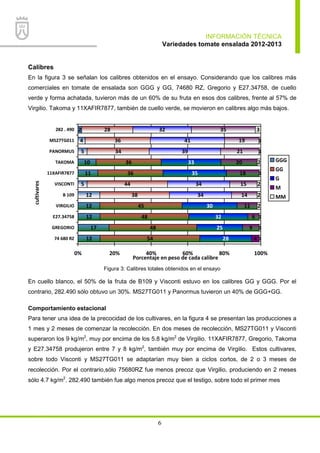 INFORMACIÓN TÉCNICA
Variedades tomate ensalada 2012-2013
6
Calibres
En la figura 3 se señalan los calibres obtenidos en el ensayo. Considerando que los calibres más
comerciales en tomate de ensalada son GGG y GG, 74680 RZ, Gregorio y E27.34758, de cuello
verde y forma achatada, tuvieron más de un 60% de su fruta en esos dos calibres, frente al 57% de
Virgilio. Takoma y 11XAFIR7877, también de cuello verde, se movieron en calibres algo más bajos.
12
17
12
12
12
5
11
10
5
4
54
48
48
45
38
44
36
36
34
36
28
28
25
32
30
35
33
4
9
6
11
15
18
20
21
19
35
1
1
1
2
2
2
1
2
1
1
32 32
41
39
34
34 14
0% 20% 40% 60% 80% 100%
74 680 RZ
GREGORIO
E27.34758
VIRGILIO
B 109
VISCONTI
11XAFIR7877
TAKOMA
PANORMUS
MS27TG011
282 . 490
cultivares
Porcentaje en peso de cada calibre
GGG
GG
G
M
MM
Figura 3: Calibres totales obtenidos en el ensayo
En cuello blanco, el 50% de la fruta de B109 y Visconti estuvo en los calibres GG y GGG. Por el
contrario, 282.490 sólo obtuvo un 30%. MS27TG011 y Panormus tuvieron un 40% de GGG+GG.
Comportamiento estacional
Para tener una idea de la precocidad de los cultivares, en la figura 4 se presentan las producciones a
1 mes y 2 meses de comenzar la recolección. En dos meses de recolección, MS27TG011 y Visconti
superaron los 9 kg/m2
, muy por encima de los 5.8 kg/m2
de Virgilio. 11XAFIR7877, Gregorio, Takoma
y E27.34758 produjeron entre 7 y 8 kg/m2
, también muy por encima de Virgilio. Estos cultivares,
sobre todo Visconti y MS27TG011 se adaptarían muy bien a ciclos cortos, de 2 o 3 meses de
recolección. Por el contrario,sólo 75680RZ fue menos precoz que Virgilio, produciendo en 2 meses
sólo 4.7 kg/m2
. 282.490 también fue algo menos precoz que el testigo, sobre todo el primer mes
 