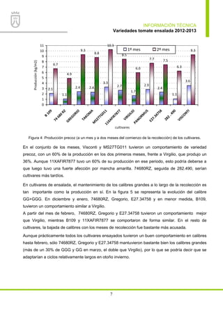 INFORMACIÓN TÉCNICA
Variedades tomate ensalada 2012-2013
7
6.7
4.9
9.3
8.8
10.3
8.5
6.0
7.7 7.5
6.3
9.3
2.4
1.1
2.1
3.6
1.1
2.4
2.9
1.7
2.7
3.3
2.4
0
1
2
3
4
5
6
7
8
9
10
11B
109
74
680
RZ
GREGORIO
TAKOM
A
M
S27TG01111XAFIR7877
VIRGILIO
PANORM
US
E27.34758
282
.490
VISCONTI
cultivares
Producción(kg/m2)
1º mes 2º mes
Figura 4: Producción precoz (a un mes y a dos meses del comienzo de la recolección) de los cultivares.
En el conjunto de los meses, Visconti y MS27TG011 tuvieron un comportamiento de variedad
precoz, con un 60% de la producción en los dos primeros meses, frente a Virgilio, que produjo un
36%. Aunque 11XAFIR7877 tuvo un 60% de su producción en ese periodo, esto podría deberse a
que luego tuvo una fuerte afección por mancha amarilla. 74680RZ, seguida de 282.490, serían
cultivares más tardíos.
En cultivares de ensalada, el mantenimiento de los calibres grandes a lo largo de la recolección es
tan importante como la producción en sí. En la figura 5 se representa la evolución del calibre
GG+GGG. En diciembre y enero, 74680RZ, Gregorio, E27.34758 y en menor medida, B109,
tuvieron un comportamiento similar a Virgilio.
A partir del mes de febrero, 74680RZ, Gregorio y E27.34758 tuvieron un comportamiento mejor
que Virgilio, mientras B109 y 11XAFIR7877 se comportaron de forma similar. En el resto de
cultivares, la bajada de calibres con los meses de recolección fue bastante más acusada.
Aunque prácticamente todos los cultivares ensayados tuvieron un buen comportamiento en calibres
hasta febrero, sólo 74680RZ, Gregorio y E27.34758 mantuvieron bastante bien los calibres grandes
(más de un 30% de GGG y GG en marzo, el doble que Virgilio), por lo que se podría decir que se
adaptarían a ciclos relativamente largos en otoño invierno.
 