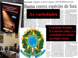 As variedades
Variedade Padrão –
É a norma culta, é a
variedade de maior
prestígio social.
 