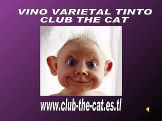 www.club-the-cat.es.tl VINO VARIETAL TINTO CLUB THE CAT 
