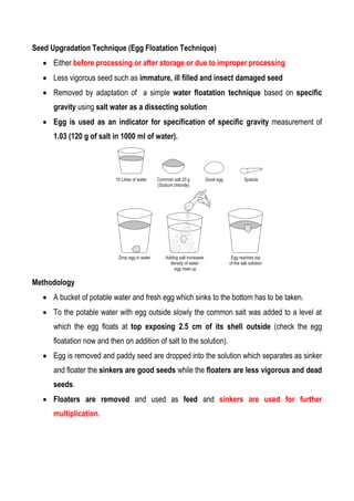 VARIETAL SEED PRODUCTION IN PADDY.pdf