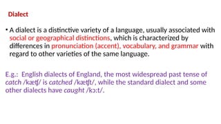 Varieties of Language in English Grammar.pptx