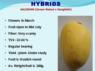 HYBRIDS
          AALISHAN (Anwar Retaul x Sanglakhi)



• Flowers in Marc h

• Fruit ripen in Mid J uly

• Fiber: Very s c anty

• TS S : 22-24 %

• Regular bearing

• Yield / plant: Under s tudy

• Fruit is Ovatis h round

• A v. Weight/fruit is 288g.
 