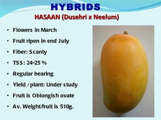 HYBRIDS
           HASAAN (Dusehri x Neelum)
• Flowers in March

• Fruit ripen in end J uly

• Fiber: S canty

• TS S : 24-25 %

• Regular bearing

• Yield / plant: Under s tudy

• Fruit is Oblongis h ovate

• A v. Weight/fruit is 510g.
 