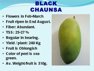 BLACK
                 CHAUNSA
• Flowers in Feb-March
• Fruit ripen in E nd A ugus t.
• Fiber: A bundant.
• TS S : 25-27 %
• Regular in bearing.
• Yield / plant: 240 Kg
• Fruit is Oblongis h
• C olor of peel is s ea
  green.
• A v. Weight/fruit is 310g.
 