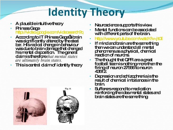 An examination of the identity theory of the mind