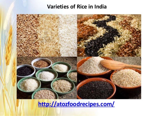 Varieties of rice in india