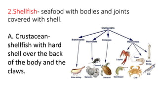Hardened Shell Fish Varieties of Seafood-Composition of fish.pptx