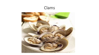 Clams
 