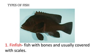 Varieties of seafood tle cookery grade 10 lesson | PPTX