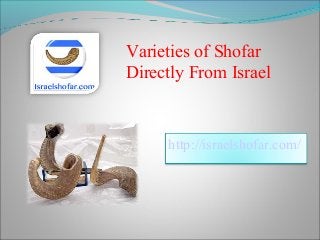 Varieties of Shofar
Directly From Israel

http://israelshofar.com/

 
