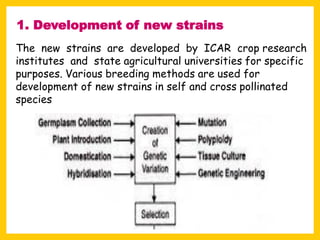 The new strains are developed by ICAR crop research
institutes and state agricultural universities for specific
purposes. Various breeding methods are used for
development of new strains in self and cross pollinated
species
1. Development of new strains
 