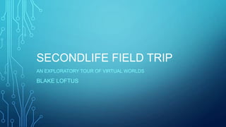 SECONDLIFE FIELD TRIP
AN EXPLORATORY TOUR OF VIRTUAL WORLDS

BLAKE LOFTUS

 