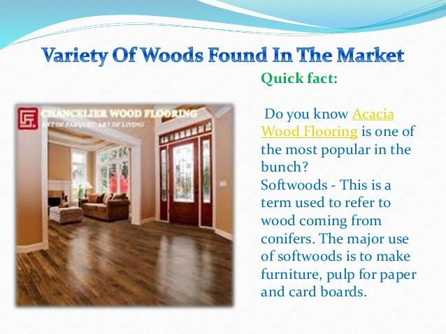 Variety Of Woods Found In The Market