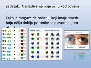 Zadatak: Nasleđivanje boje očiju kod čoveka
Kako je moguće da roditelji koji imaju smeđu
boju očiju dobiju potomke sa plavom bojom
očiju?

B_ - smeđe
G_ - zelene
bb - plave

 