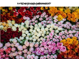 Шта је варијабилност?ВАРИЈАБИЛНОСТ=РАЗЛИЧИТОСТ
 