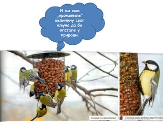 И ми смо
„промениле“
величину свог
кљуна да би
опстале у
природи.
 
