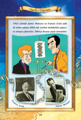 1955 y›l›nda James Watson ve Francis Crick adl›
iki bilim adam› DNA ad› verilen molekülün yap›s›-
n› ortaya ç›kar›rlar. DNA'y› k›saca ﬂöyle tan›tal›m:
50
James Wats
on
Fr
ancis Crick
 
