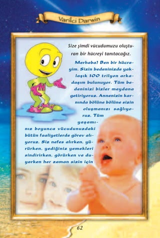 Size ﬂimdi vücudumuzu oluﬂtu-
ran bir hücreyi tan›taca¤›z.
Merhaba! Ben bir hücre-
yim. Sizin bedeninizde yak-
laﬂ›k 100 trilyon arka-
daﬂ›m bulunuyor. Tüm be-
deninizi bizler meydana
getiriyoruz. Annenizin kar-
n›nda bölüne bölüne sizin
oluﬂman›z› sa¤l›yo-
ruz. Tüm
yaﬂam›-
n›z boyunca vücudunuzdaki
bütün faaliyetlerde görev al›-
yoruz. Siz nefes al›rken, yü-
rürken, yedi¤iniz yemekleri
sindirirken, görürken ve du-
yarken her zaman sizin için
62
 
